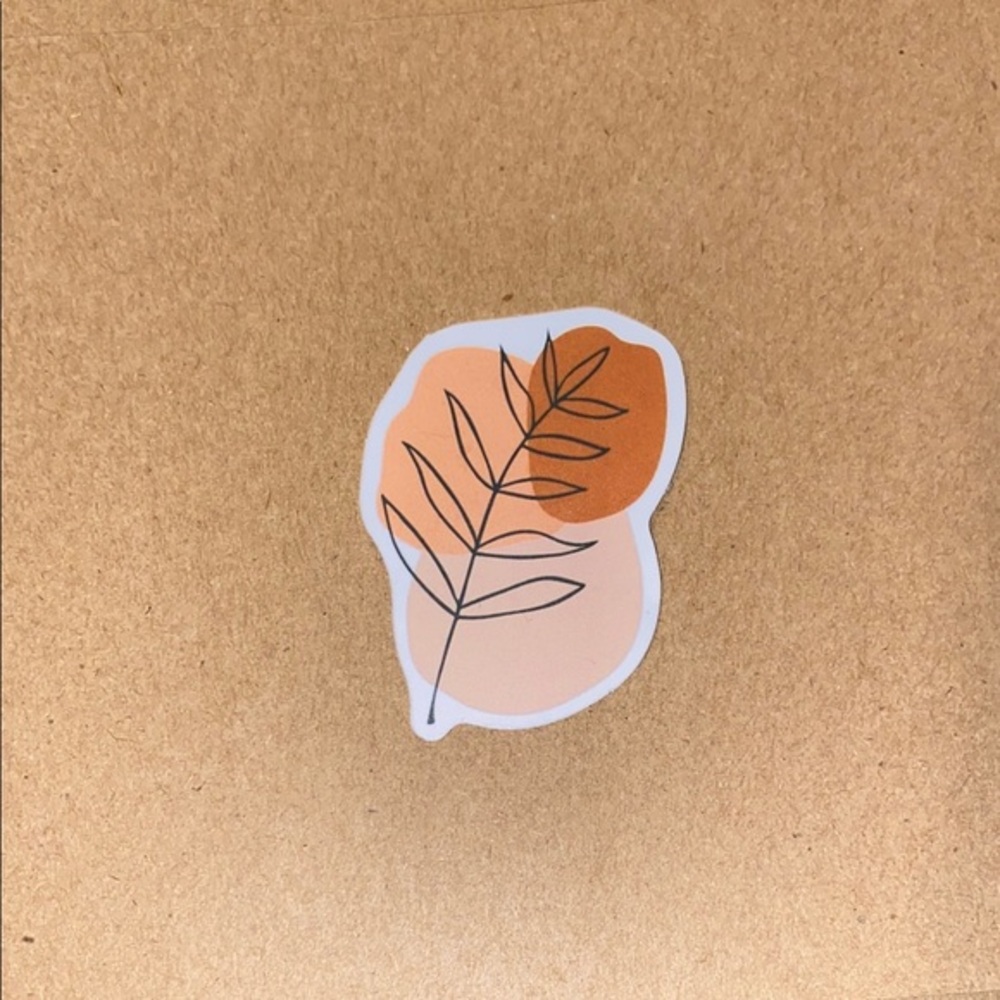 🌈20/$12🌈 Leaf Design Sticker - Orange and Cream